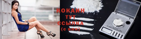 ПСИЛОЦИБИНОВЫЕ ГРИБЫ Зеленодольск