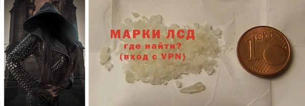 прущие грибы Заводоуковск