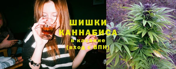 ПСИЛОЦИБИНОВЫЕ ГРИБЫ Зеленодольск