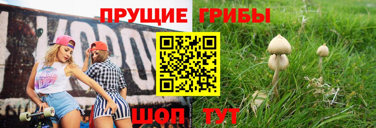 Галлюциногенные грибы Cubensis Славянск-на-Кубани