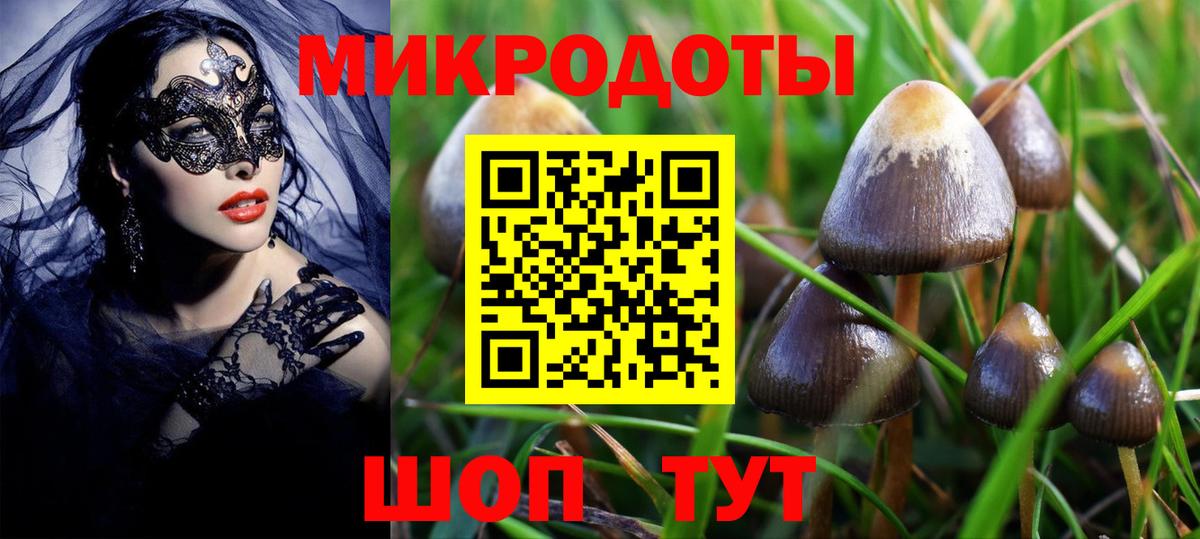 Псилоцибиновые грибы GOLDEN TEACHER Славянск-на-Кубани
