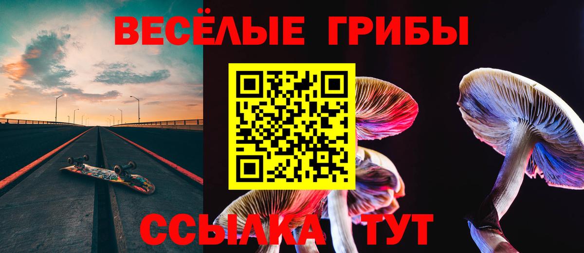 Псилоцибиновые грибы GOLDEN TEACHER  Вход с VPN  купить  цена  Псилоцибиновые грибы мицелий  Славянск-на-Кубани 