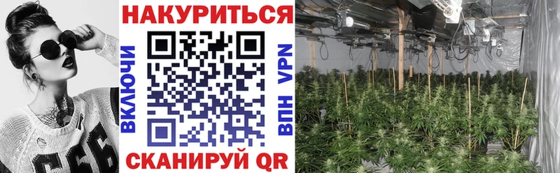 закладки  Славянск-на-Кубани  Шишки марихуана White Widow 